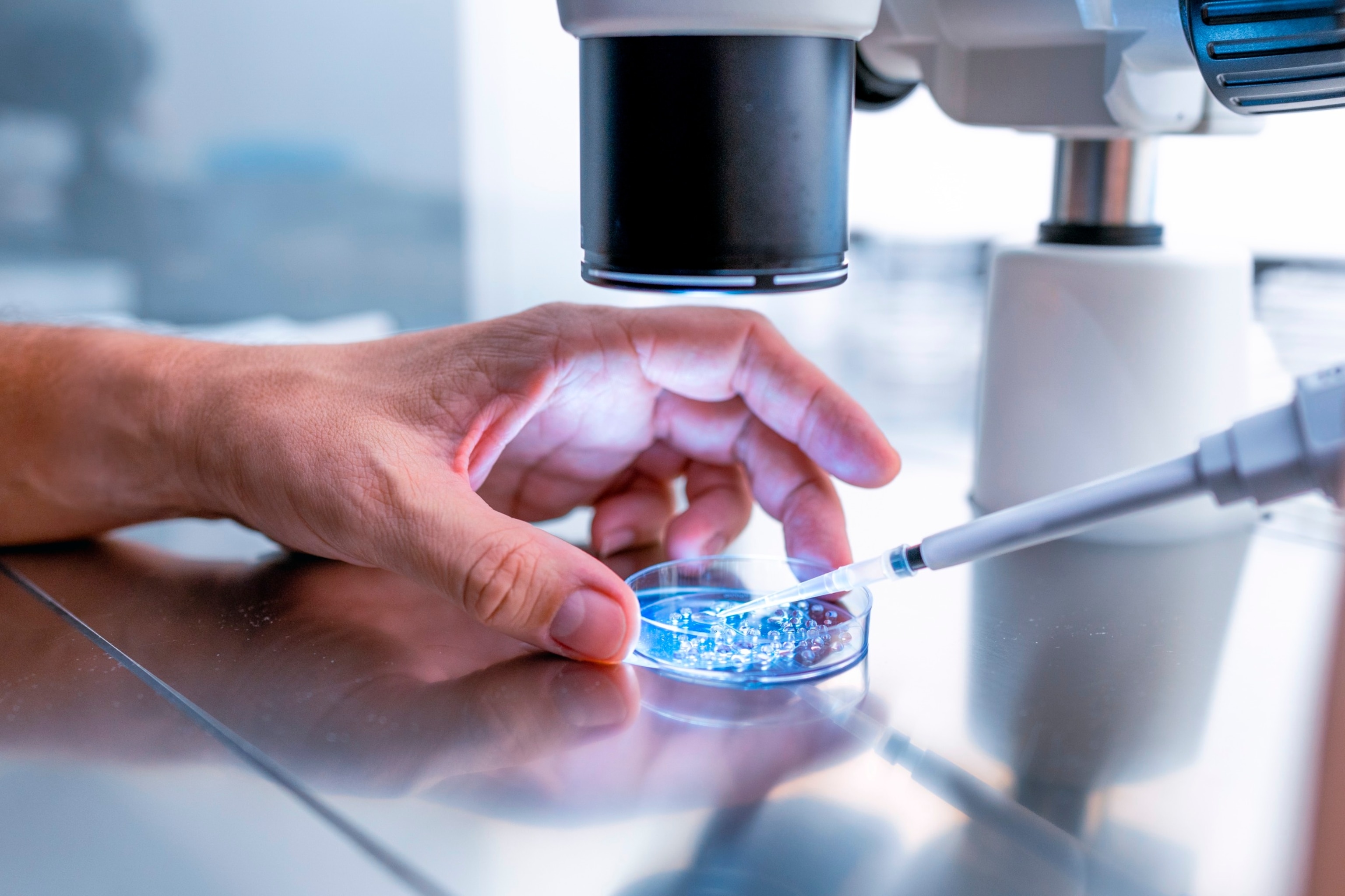 PHOTO: Close up In the fertility laboratory the Doctor preparing embryo cultivation plates.